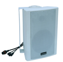 Dasscom Indoor Cabinet Speaker